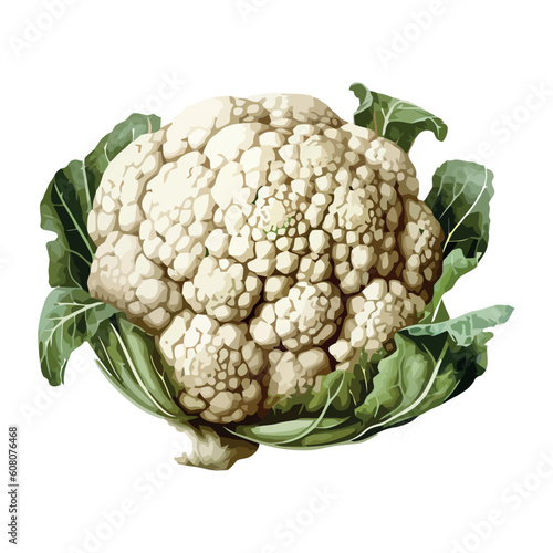 Healthy vegetable cauliflower fresh organic