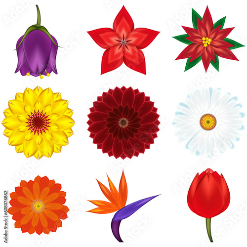 Collection of popular and exotic flowers - vector illustration.