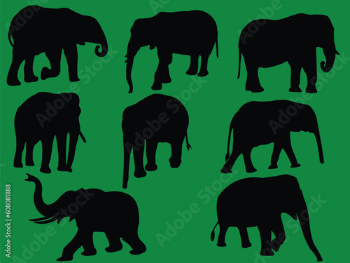 elephants collection silhouette - vector