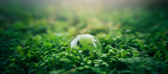 Crystal ball on moss in green forest - environment concept Ecology and Sustainable Environment of the World