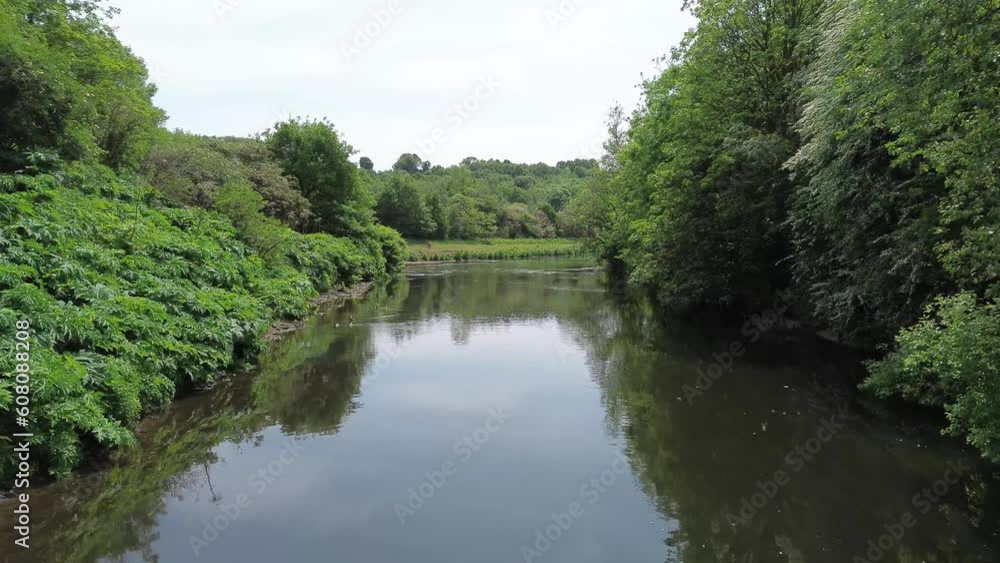 Stunning aerial view of slow moving river in a forest park flowing split Stunning aerial view of slow moving river in a forest park flowing split