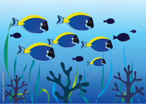 vector illustration of tropical fish under water