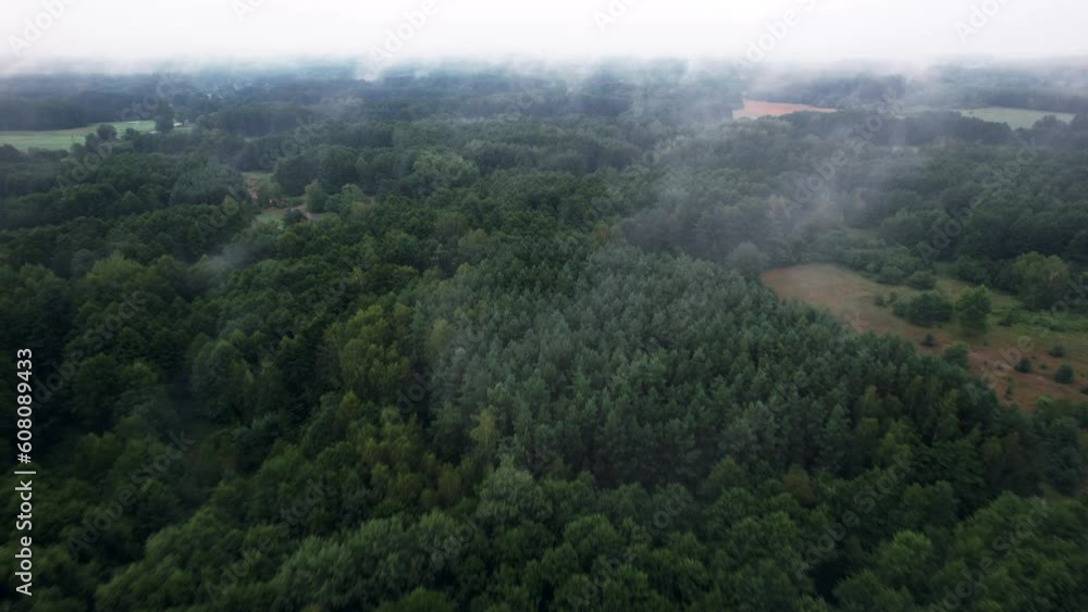 Flight on a cloudy day over the forest towards the clouds Flight on a cloudy day over the forest towards the clouds