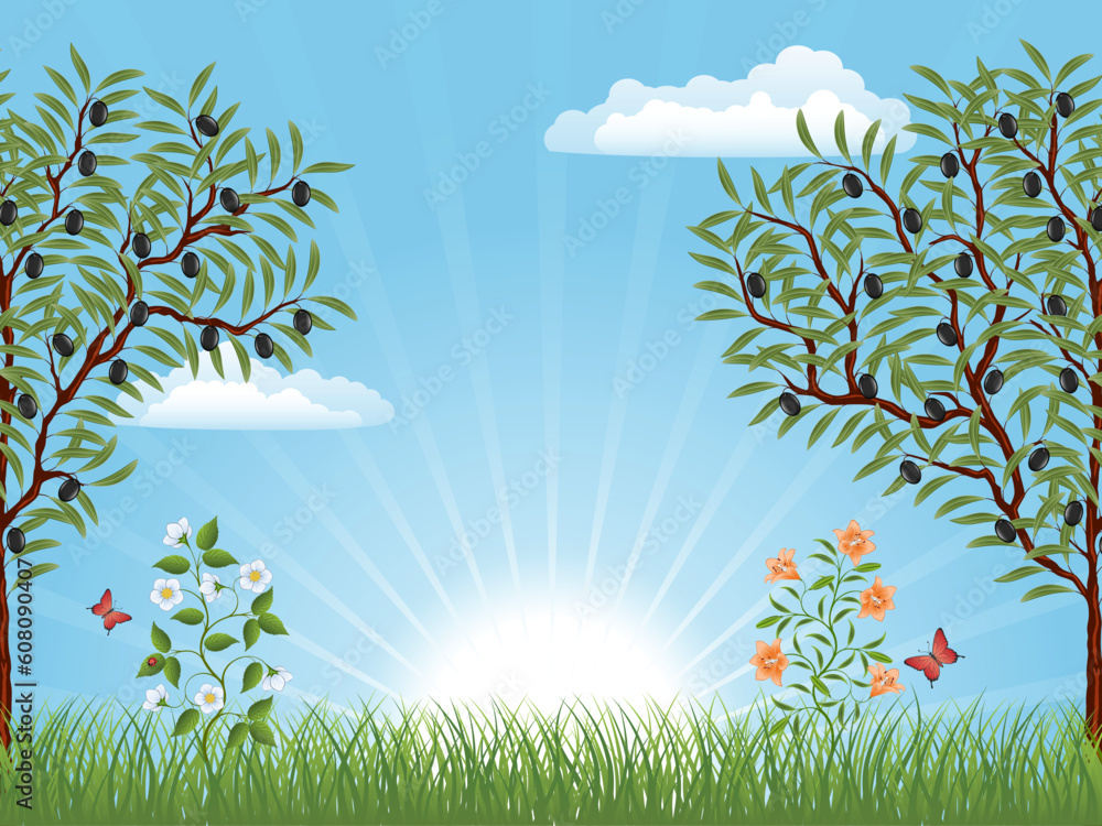 Obraz premium Summer landscape with an olive trees. Vector illustration.