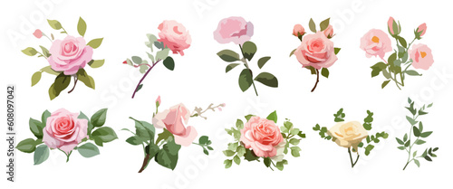 Colorful floral collection with multicolored flowers, leaves, branches, berries set blush pink, blue flower, green leaves individual elements collection.