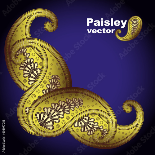 Vector paisley - Illustration for your design