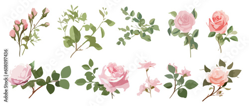 Set watercolor elements of pink roses; collection garden flowers; leaves; branches. Botanic Wedding floral design. Collection of greenery leaf plant forest herbs tropical leaves. 