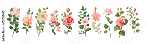 Set of watercolor flowers. DIY flower, green flower elements collection. Rose, peony, eucalyptus. For bouquets, wreaths, wedding invitations.
