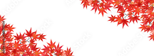 紅葉したモミジのフレーム（バナー向け横長）