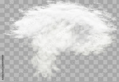 A transparent special effect is highlighted by fog or smoke. White cloud vector, snow storm. Glitter of stars through a snowy haze.