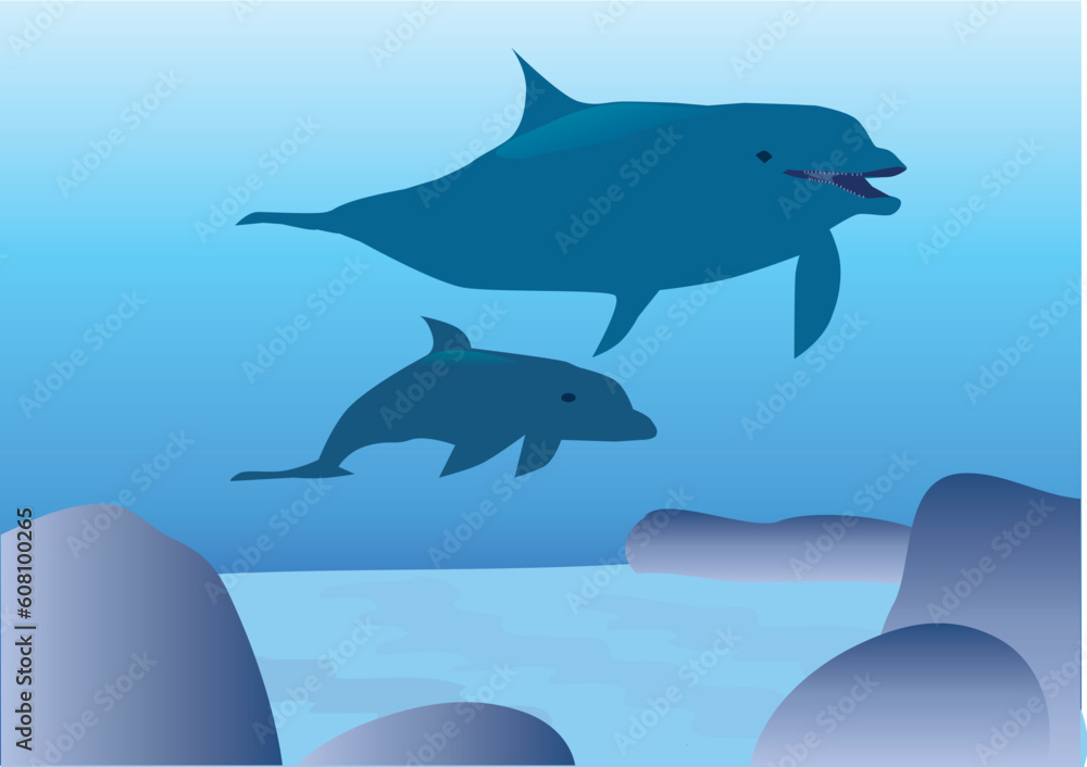 vector illustration of dolphins vector illustration of dolphins