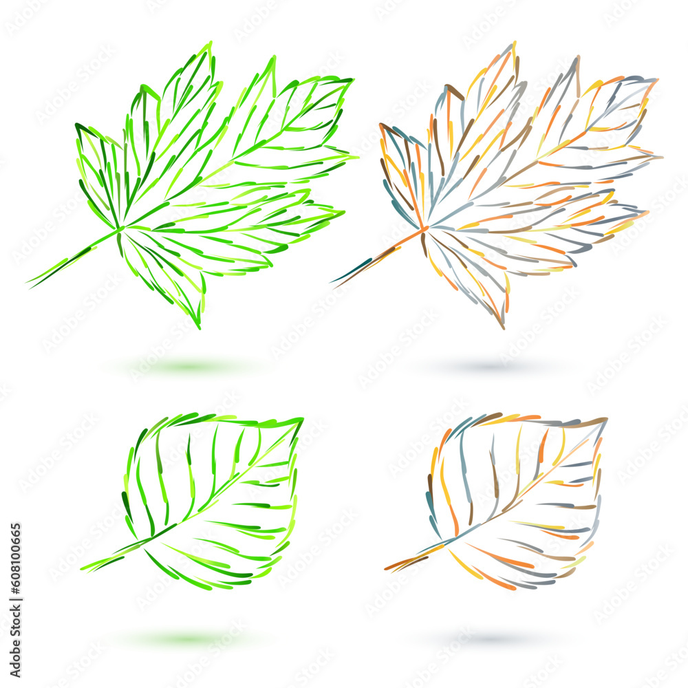 set autumn leaves set autumn leaves