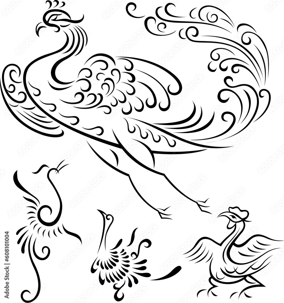 Fototapeta premium bird illustration