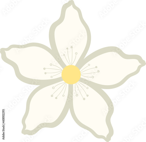 jasmine white flower icon 