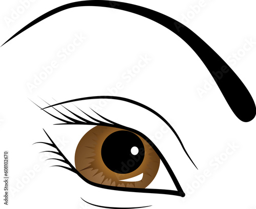 Vector picture of female brown eye