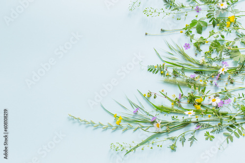 wild grass and flowers on green paper background
