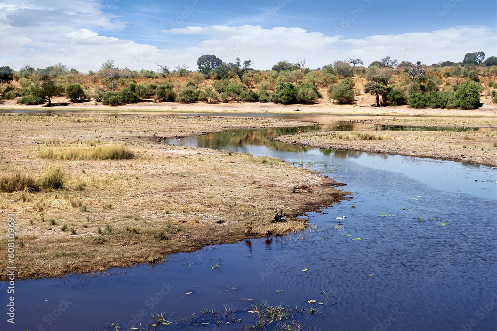 African landscape on the bank of a river