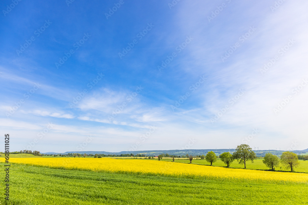 Blooming rapeseed field in a rural landscape view