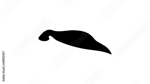 leech silhouette