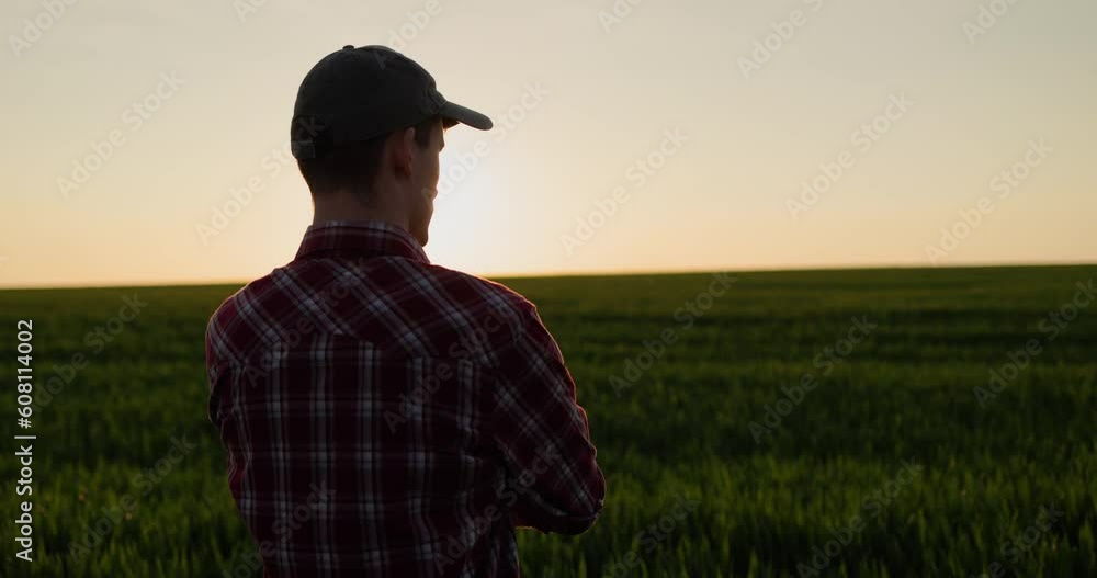 Young successful farmer looking at the wheat field at sunset, view from the back Young successful farmer looking at the wheat field at sunset, view from the back