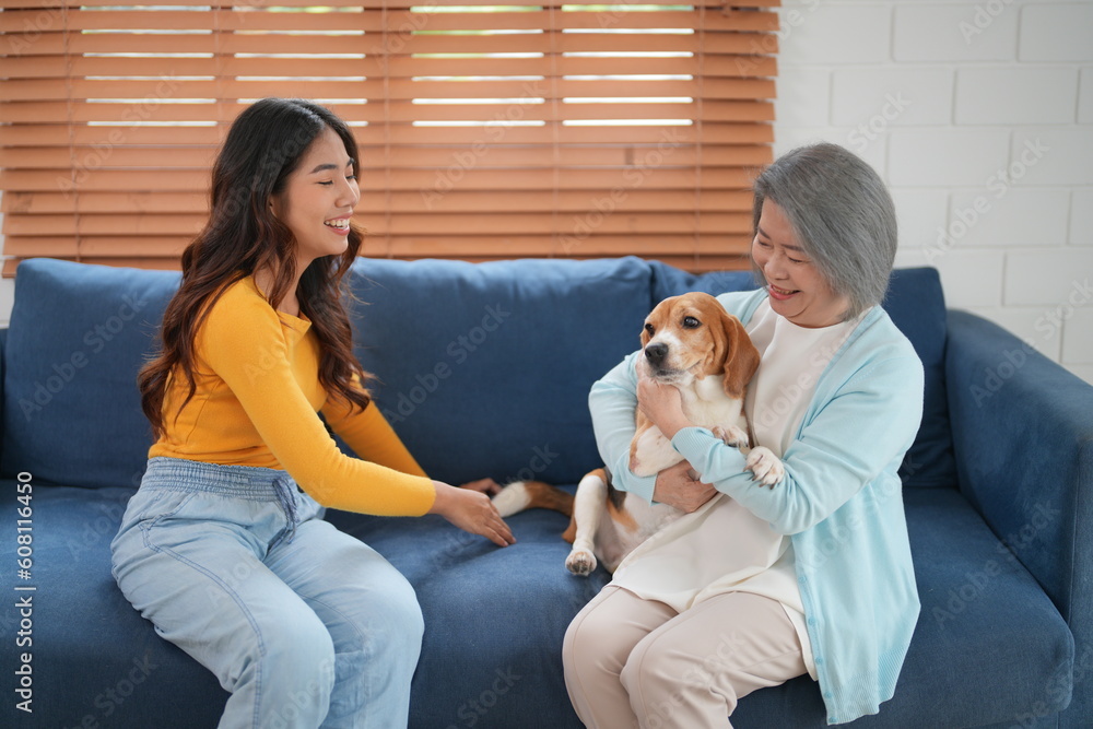 Cheerful retired senior woman with wrinkles smiling while embracing her Beagle dog and enjoying time with pet at home Cheerful retired senior woman with wrinkles smiling while embracing her Beagle dog and enjoying time with pet at home
