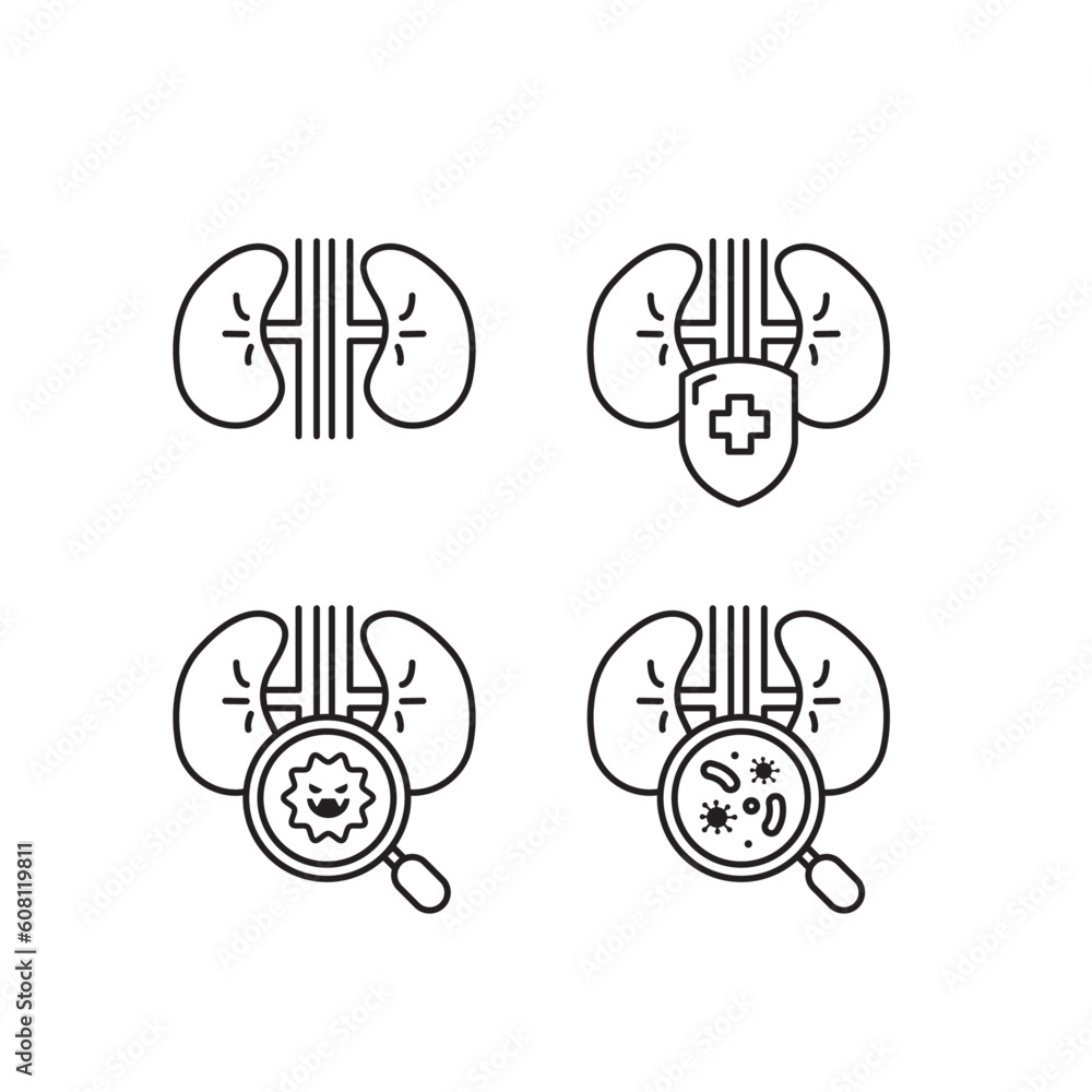 kidneys line icon set of vector kidneys line icon set of vector