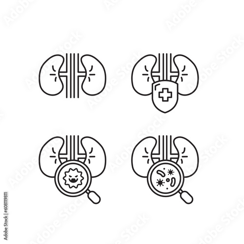 kidneys line icon set of vector