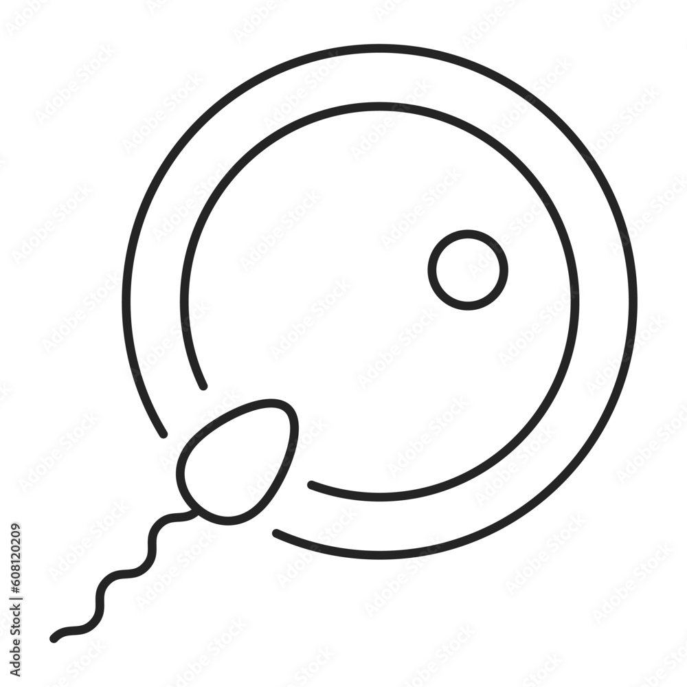 Spermatozoon fertilizing egg icon vector isolated. Fertilization process, line symbol of insemination. Concept of medicine and biology, reproduction process. Spermatozoon fertilizing egg icon vector isolated. Fertilization process, line symbol of insemination. Concept of medicine and biology, reproduction process.