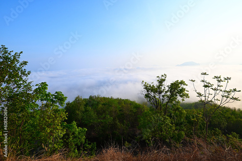 sunrise mist cover mountain background winter foggy view at beautiful misty spring mountain valley and mountains in mist on background  landscape forest in the morning beautiful