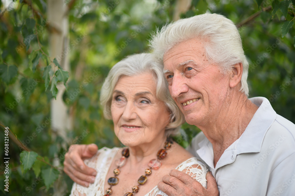  elderly couple walks in nature in summer