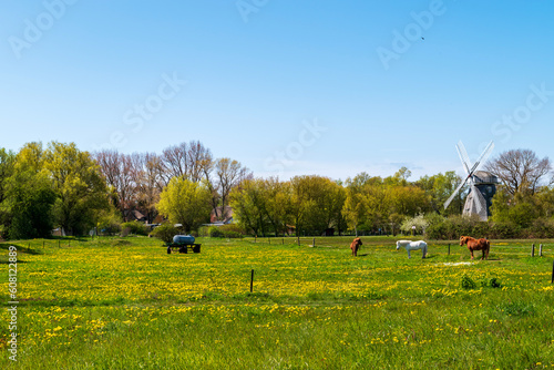 Historische Windmühle in Ahrenshoop, Fischland-Darß-Zingst, Mecklenburg-Vorpommern, Deutschland