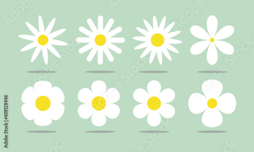 Camomile, Daisy's, Chamomile, Gänseblümchen, Flower,  green background, images, simple Flowers, Camille  photo
