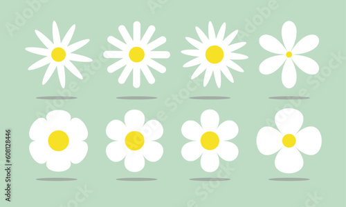 Camomile, Daisy's, Chamomile, Gänseblümchen, Flower,  green background, images, simple Flowers, Camille 