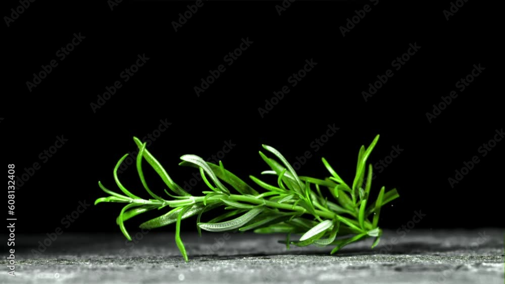 Branch falls on the table. Filmed is slow motion 1000 fps. High quality FullHD footage