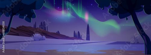 Aurora Borealis in night polar sky, many stars above snowy territory. Vector cartoon illustration of northern lights shimmering above winter landscape with trees and stones. Adventure game background