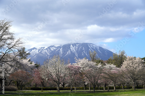 Mount Iwate is the highest mountain in Iwate and is one of Japan s 100 Most Beautiful Mountains.