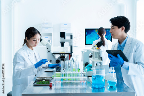 Scientists discussing progress in the laboratory