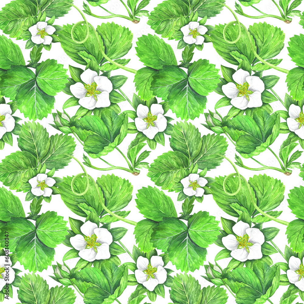 Seamless pattern of strawberry bushes with green leaves and white flowers. Watercolor illustration isolated on transparent background. The application is designed for printing on textiles, packaging Seamless pattern of strawberry bushes with green leaves and white flowers. Watercolor illustration isolated on transparent background. The application is designed for printing on textiles, packaging