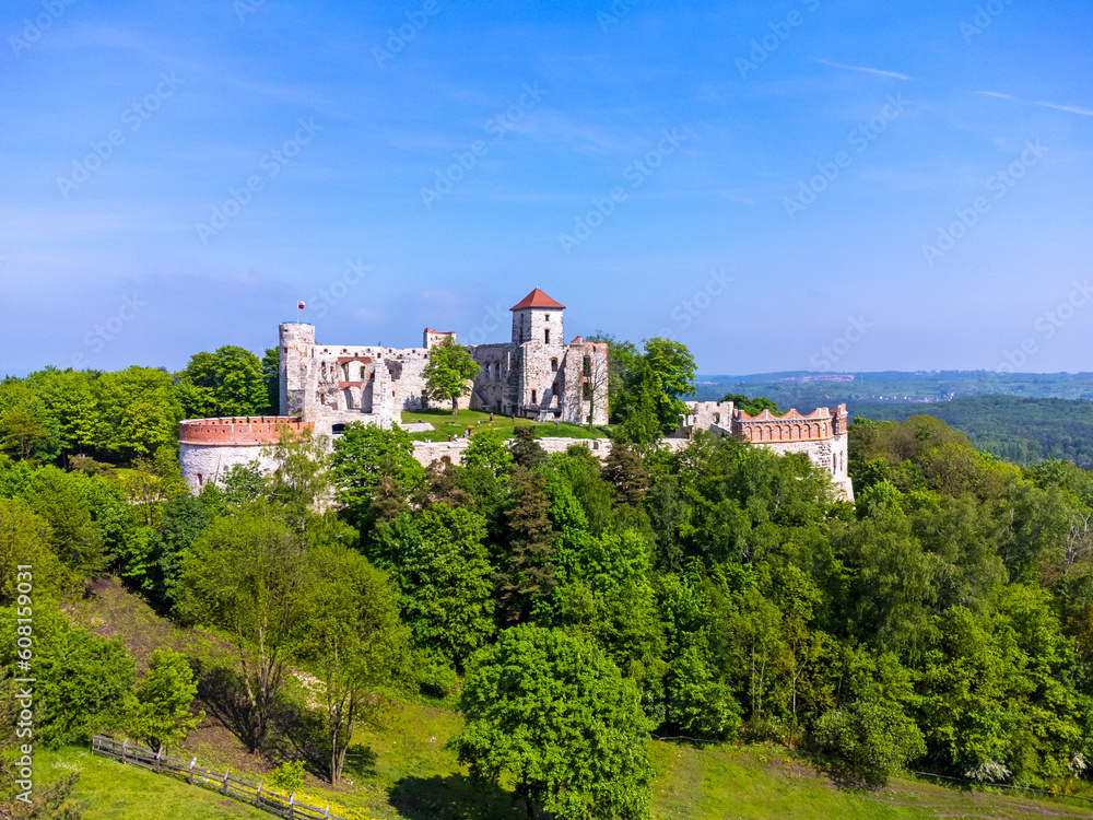 Aerial view landscape, Poland ruins of Tenczyn castle in Rudno. Drone photo, forest, park, meadows and view of the castle.