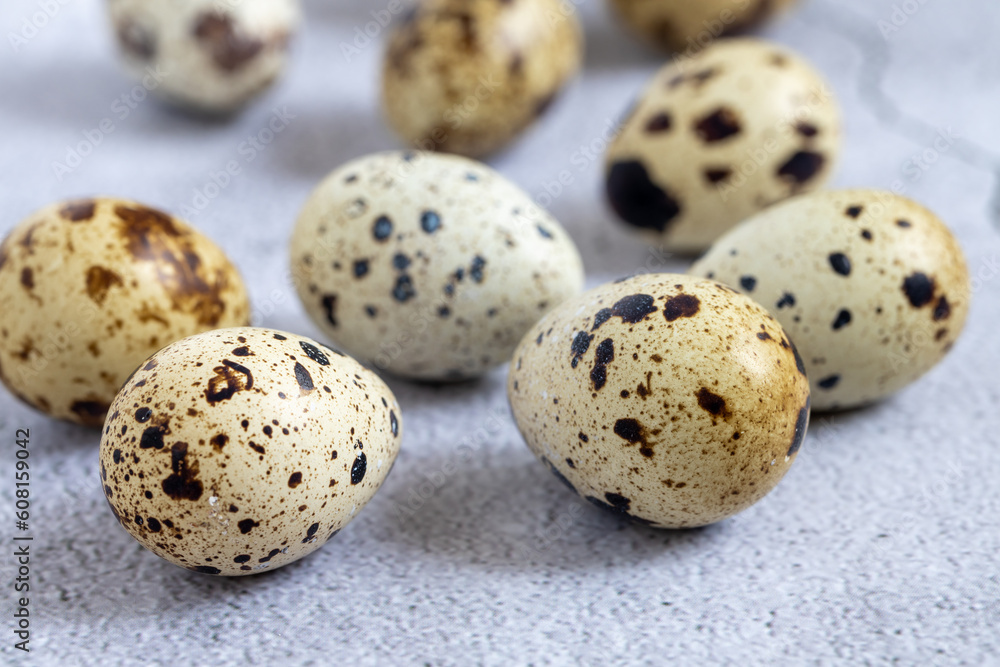Easter quail eggs. Spring background with small easter quail eggs. Vintage photo processing Easter quail eggs. Spring background with small easter quail eggs. Vintage photo processing