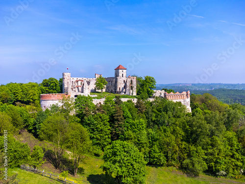 Obraz na płótnie Aerial view landscape, Poland ruins of Tenczyn castle in Rudno. Drone photo, forest, park, meadows and view of the castle. w salonie