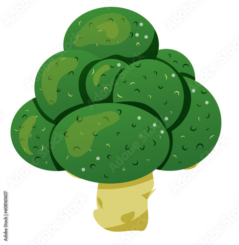 Brocoli clipart format vectoriel, fond transparent