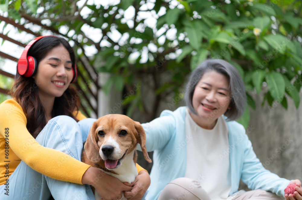 Family vacation, mother, daughter, and beagle puppy relaxing on weekends in the front yard. Family vacation, mother, daughter, and beagle puppy relaxing on weekends in the front yard.