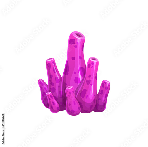 Cartoon underwater sponge, seaweed plant. Aquarium and sea algae. Ocean deep water weed, coral reef marine plant or tropical sea underwater vector algae or pink sponge, aquarium aquatic flora