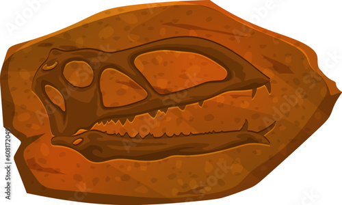 Ancient dinosaur fossil skull imprint in stone. Prehistoric animal skull bones stone imprint, dinosaur skeleton section archaeological find or Jurassic reptile or dino body piece museum vector fossil