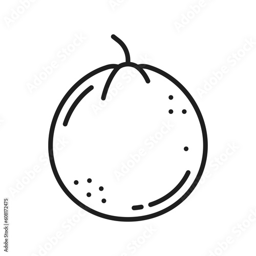Apricot, peach or plum isolated thin line icon. Vector whole summer fruit vegetarian organic food, nutrition vitamins snack. Nectarine peach exotic dessert