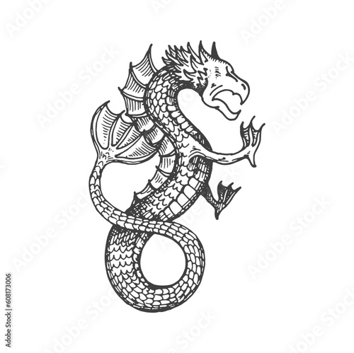 Dragon medieval heraldic animal monster sketch. Magic animal, legend beast or fantasy creature ancient heraldic hand drawn vector sign. Mythical sea dragon monster royal coat of arms engraved symbol