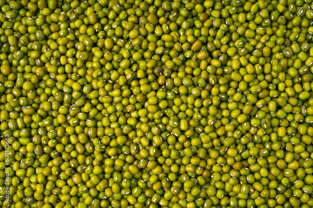 Dry Raw Mung Beans Texture Background, Vigna Radiata Seeds Pattern, Green Gram Mockup Dry Raw Mung Beans Texture Background, Vigna Radiata Seeds Pattern, Green Gram Mockup