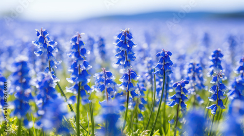 field of blue flowers named bluebells. springtime. generative ai