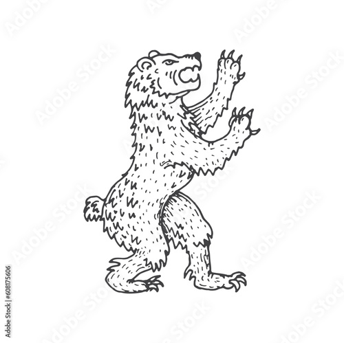 Bear medieval heraldic animal sketch. Forest animal, mythology creature or roaring bear medieval heraldic etching vector emblem. Legend beast ancient crest, engraved insignia or royal coat of arms